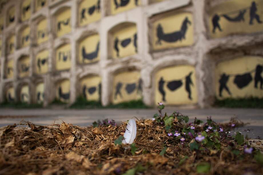 La artista colombiana Beatriz González, apropió gráficas emblemáticas, publicadas en medios de comunicación del siglo pasado y que, ejemplifican la violencia del país.