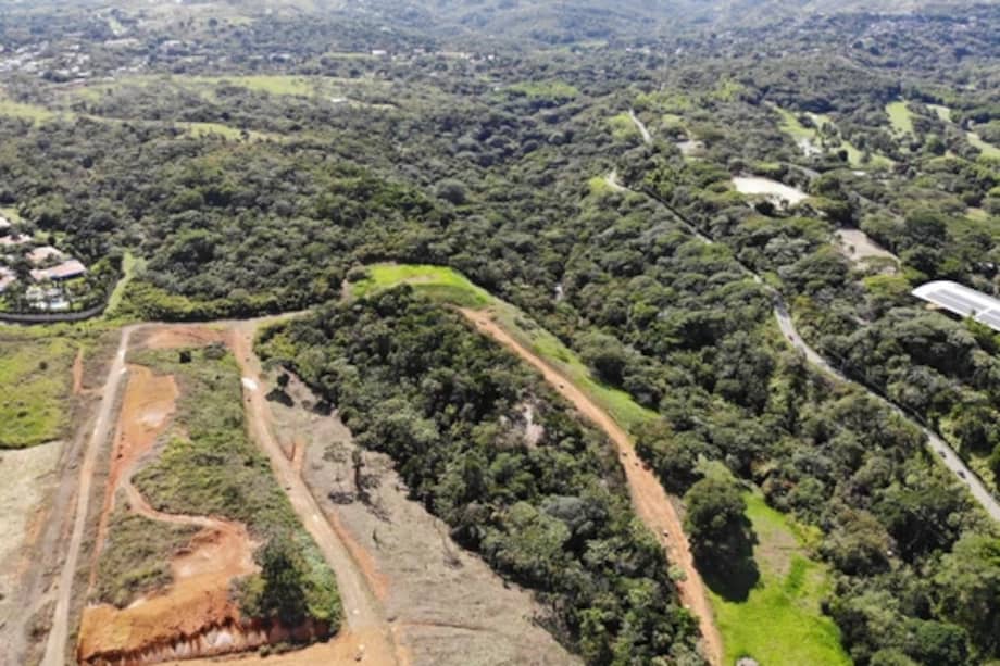 El humedal Zanjón del Burro hace parte del área protegida de "la Reserva Ecológica Distrital Cuenca Media del Río Lili”.