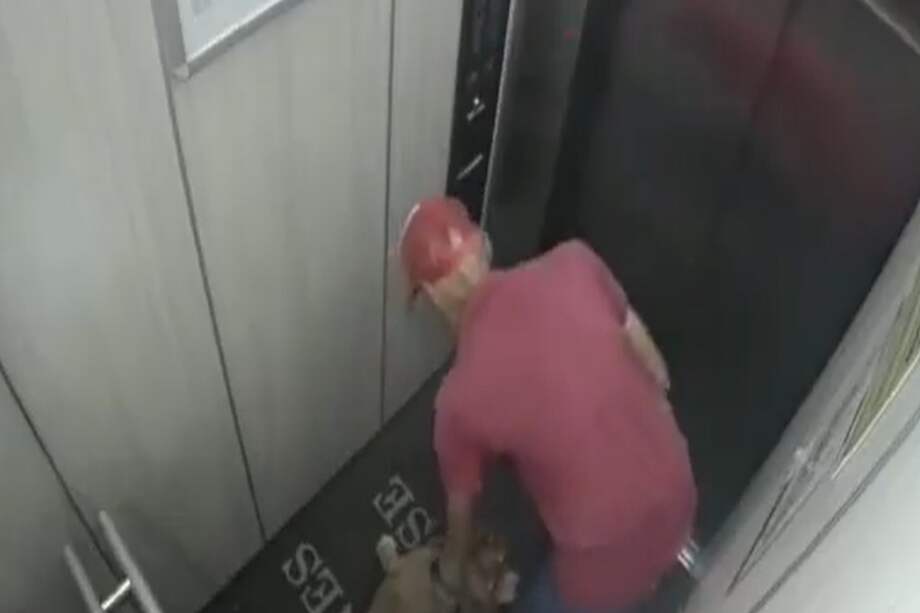 El dueño del animal realizó la respectiva denuncia por la agresión que vivió su mascota.