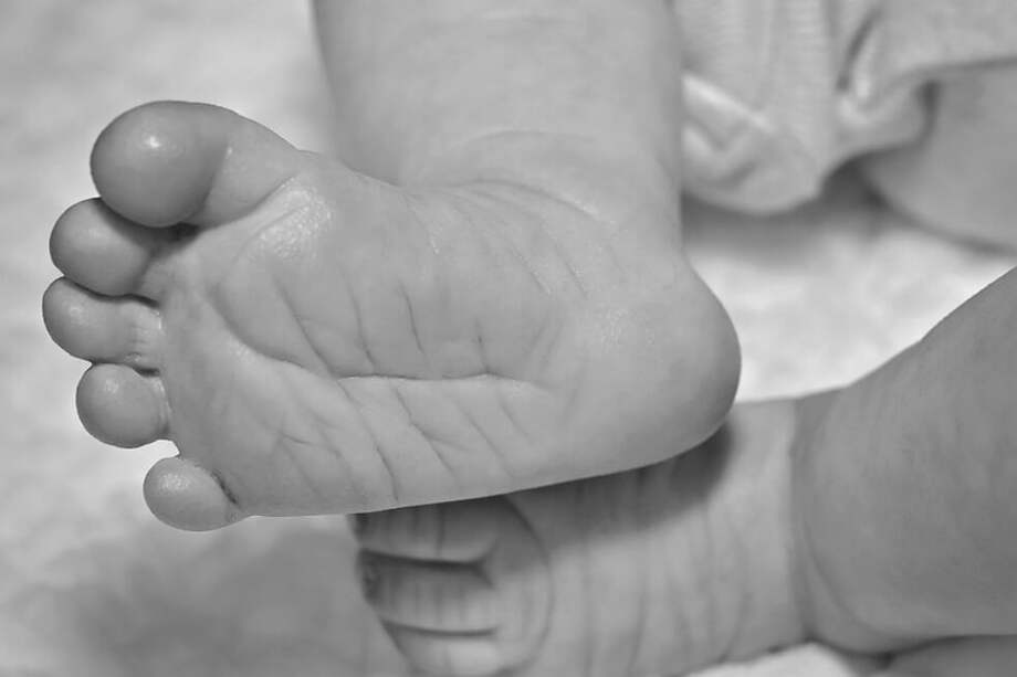 Referencia - Pixabay.