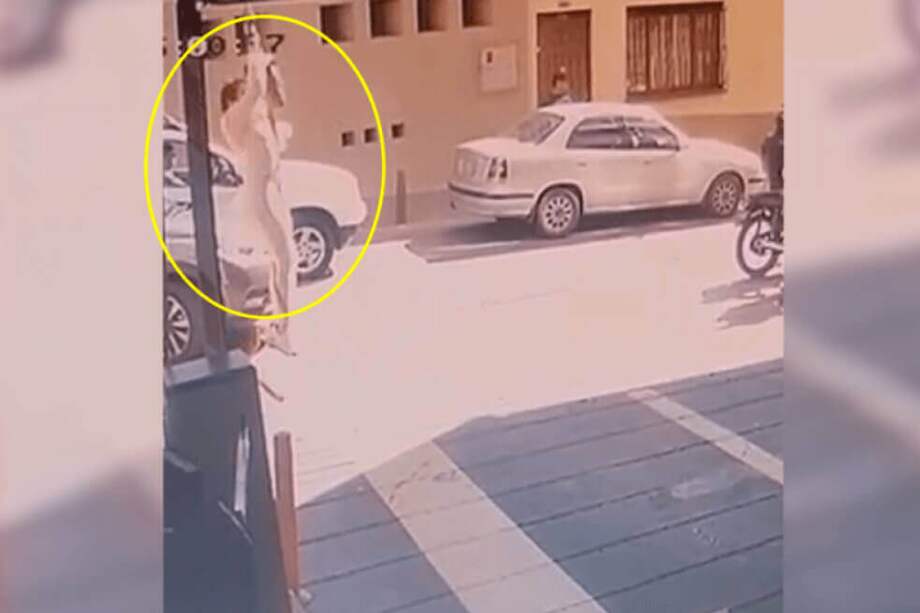 Merlano fue capturada en marzo de 2018 por presunta corrupción electoral. / Captura de video