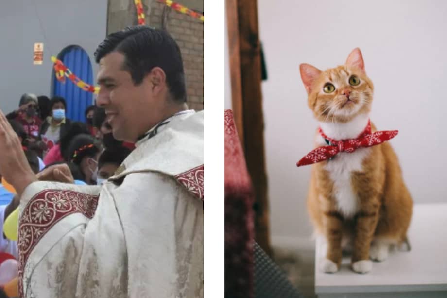 El video inició un debate entre usuarios de redes sociales, pues varios de sus seguidores no compartieron su opinión sobre la actitud correcta que se debe adoptar frente a las mascotas.