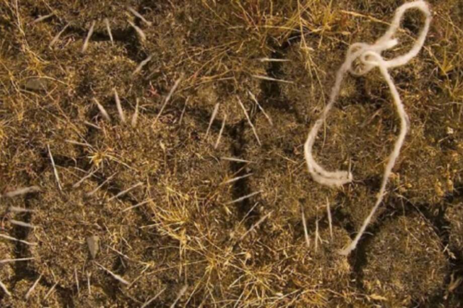 Blog Arte Sostenible / Blog Arte Sostenible