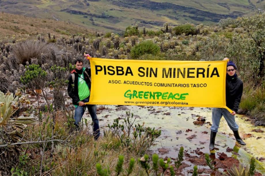 Cortesía Greenpeace / Cortesía Greenpeace
