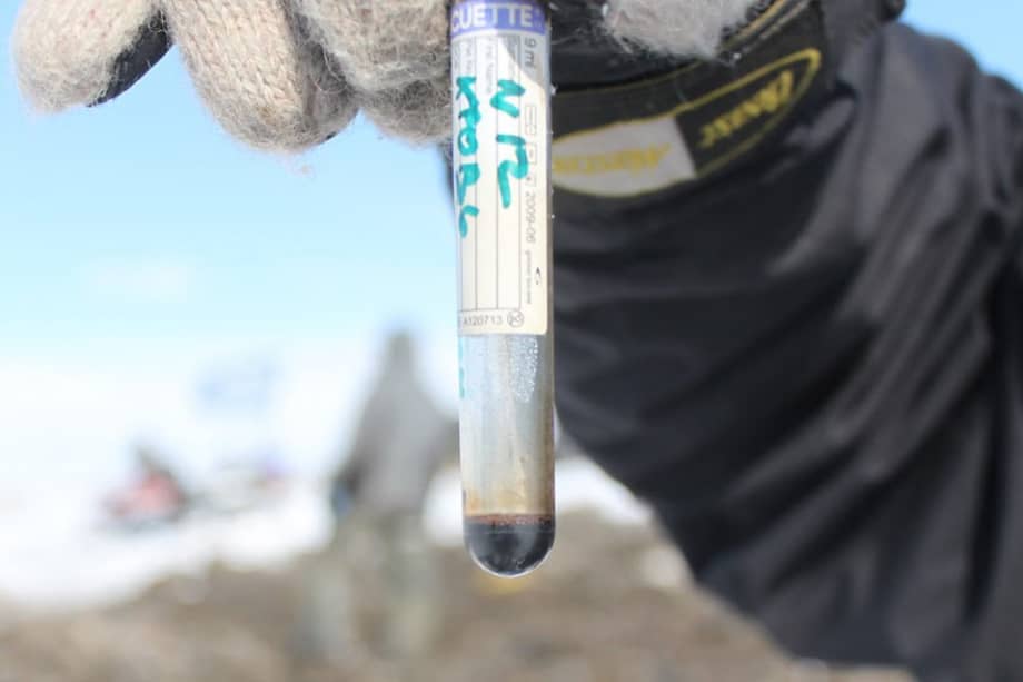 Científicos rusos anunciaron este miércoles que encontraron sangre en la carcasa de un mamut recuperada del suelo congelado de una isla en el Ártico.