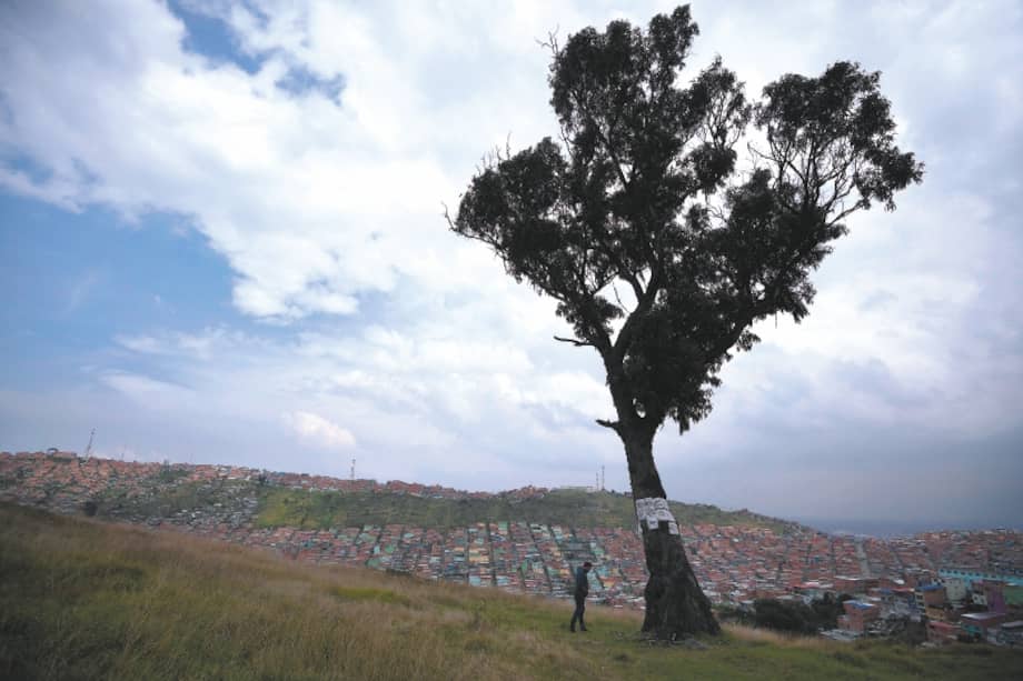 La Azotea limita con Ciudad Bolívar y Soacha, allí se encuentra el famoso Palo del Ahorcado. / Mauricio Alvarado