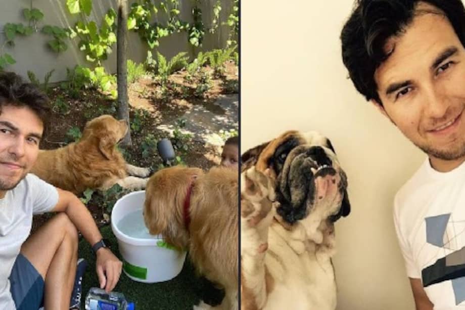 Los seguidores del mexicano han celebrado estas pequeñas ventanas a su vida cotidiana.