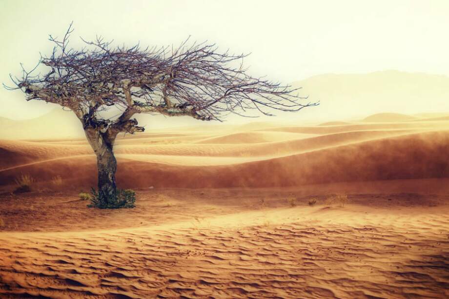 La superficie del planeta se ha calentado ya excesivamente