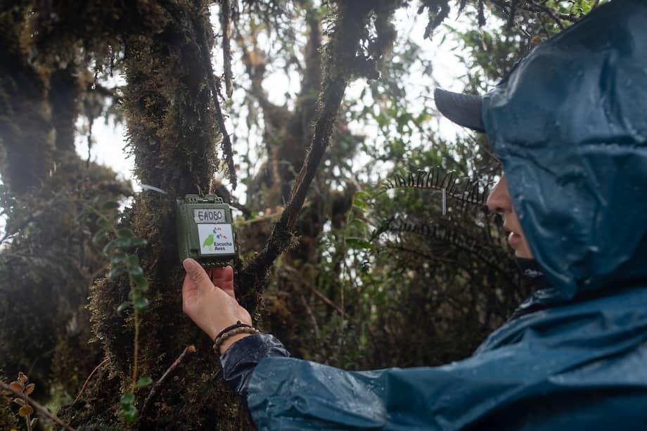 Miembros del proyecto Escucha Aves instalan ARUs en el Páramo de Zonquer en Puerres, Nariño, Colombia, 1 de mayo de 2026.