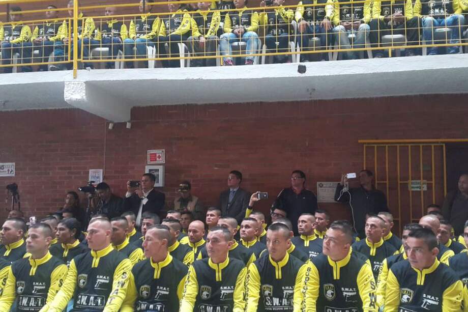 Hasta el momento, más de 300 excombatientes han superado las pruebas para ingresar a la UNP. / Archivo