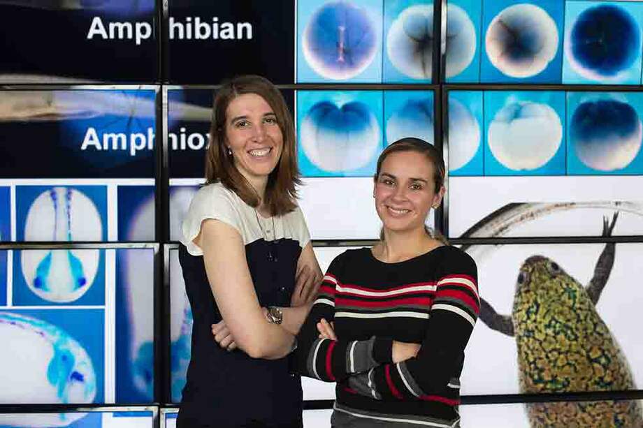 Las investigadoras Kara Nordin y Elsy Buitrago-Delgado (derecha). / Rick Gaber. U .de Northwestern