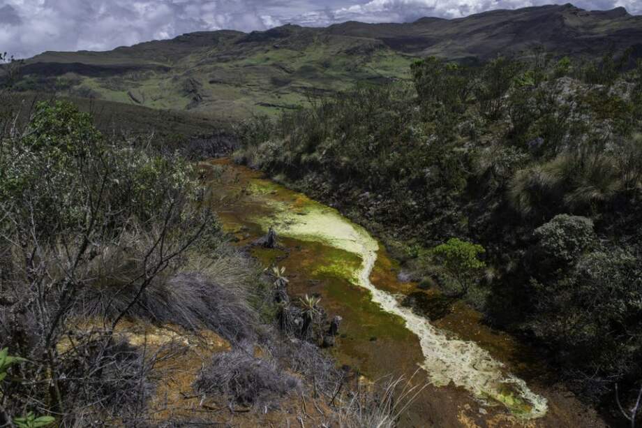 Greenpeace recorrió el Páramo de Pisba donde continúa la actividad minera ilegal. / Greenpeace