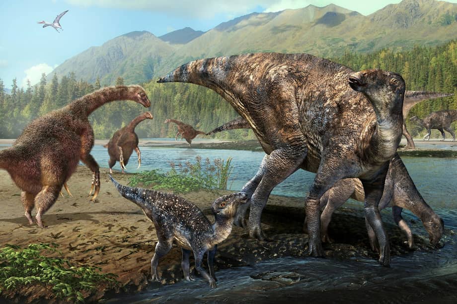En palabras de Anthony R. Fiorillo, autor principal del estudio, "este descubrimiento proporciona más evidencia de que Alaska fue posiblemente la superautopista de los dinosaurios entre Asia y el oeste de América del Norte hace 65-70 millones de años". / Ilustración de Masato Hattori - Europa Press