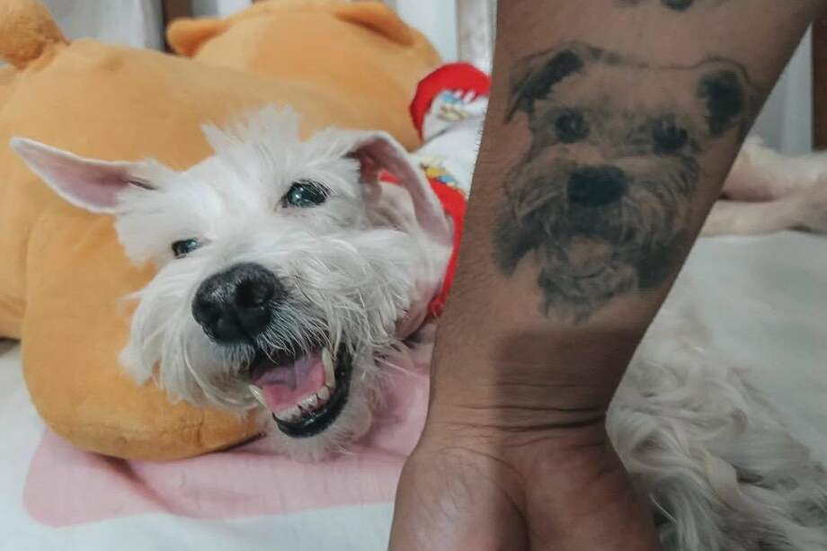 La despedida de una perrita mayor se convirtió en un mensaje sobre el amor, el cuidado y la responsabilidad hasta el último día.