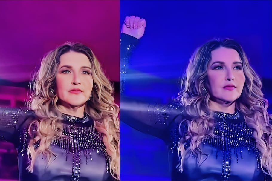 Alicia Villarreal, cantante mexicana que pidió auxilio en pleno concierto.