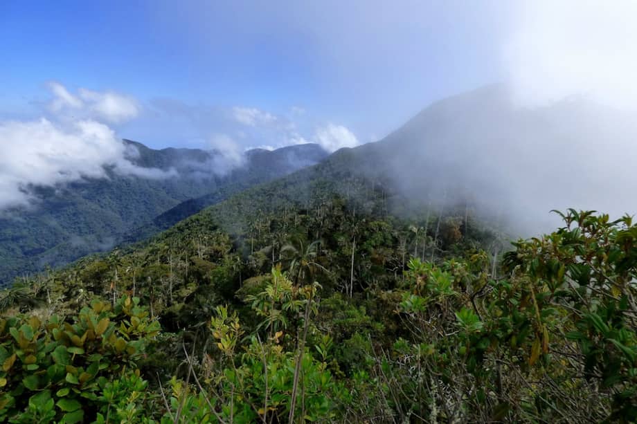 Hace dos semanas asesinaron a Wilton Fauder Orrego León, funcionario de PNN en el Parque Nacional Natural Sierra Nevada de Santa Marta. / Flickr - Alejandro Bayer Tamayo