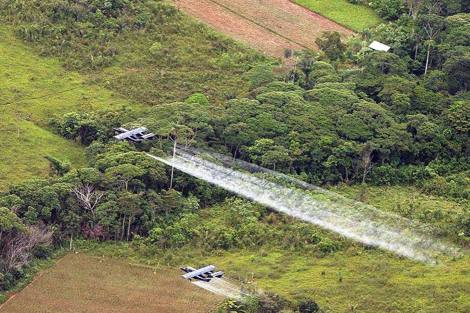 La decisión en California contra Bayer Monsanto por no advertir que su producto ‘probablemente’ puede causar cáncer resuena en el debate de volver a utilizarlo en Colombia para asperjar los cultivos de coca. / Foto: EFE