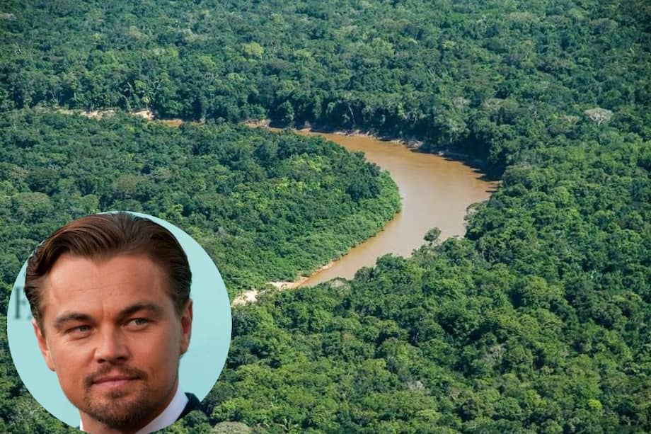Leonardo DiCaprio además de ser un actor famoso, ha tomado reconocimiento por su labor como activista ambiental.