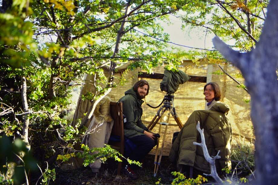 Megan Epler junto a su esposo Greg Epler Wood en 1980, mientras filmaban guanacos en Tierra del Fuego, Chile. / Cortesía.