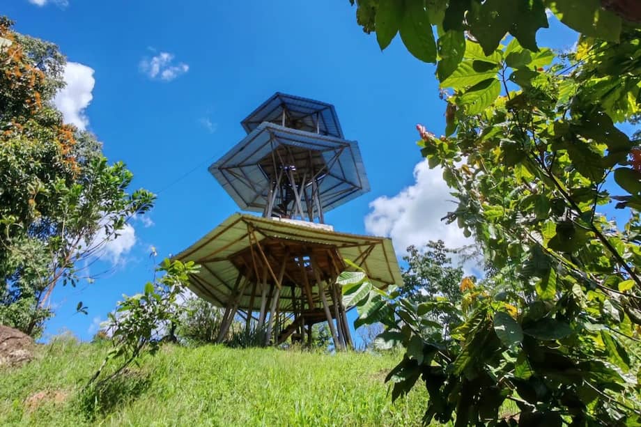En lo profundo del Putumayo, donde la selva y la historia se entrelazan, el cacao dejó de ser solo un cultivo para convertirse en el motor de una transformación