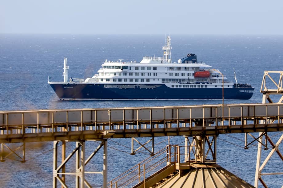 Tras brote en un crucero, esto es lo que debe saber sobre el hantavirus