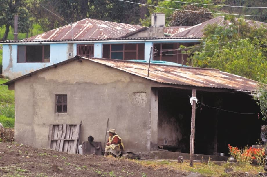En 2020, el agro estuvo entre las pocas actividades que tuvieron una variación positiva en el PIB: creció 2,8 %.