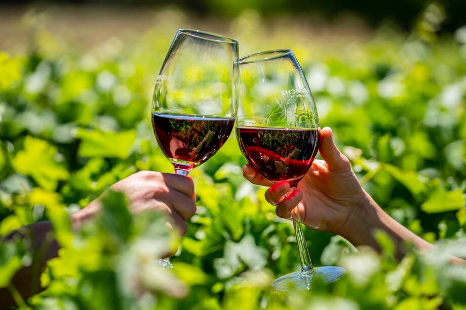 Estos son algunos mitos y verdades a la hora de tomar una copa de licor y cómo influye en la salud.