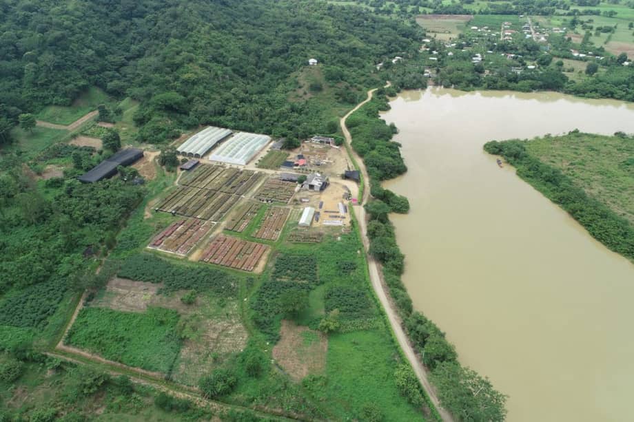 El reporte de la Superservicios señala que ríos como Sinú, Sogamoso e Ituango superan ampliamente sus máximos históricos.