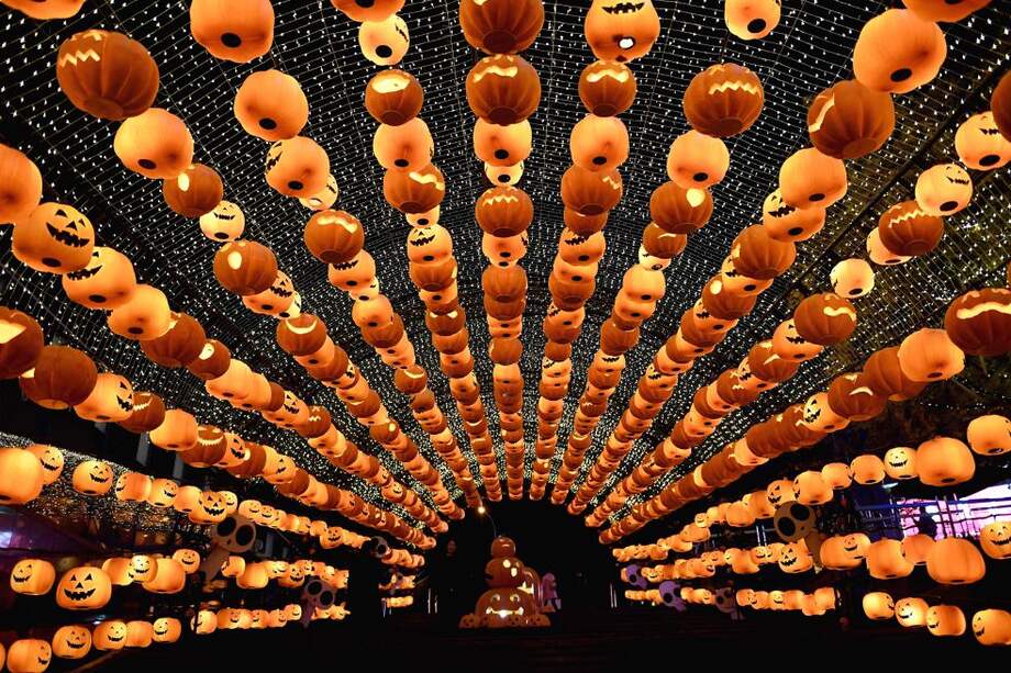 Las calabazas cortadas en forma de caras grotescas e iluminadas con velas por dentro se originaron en los juegos de los niños irlandeses. / AFP
