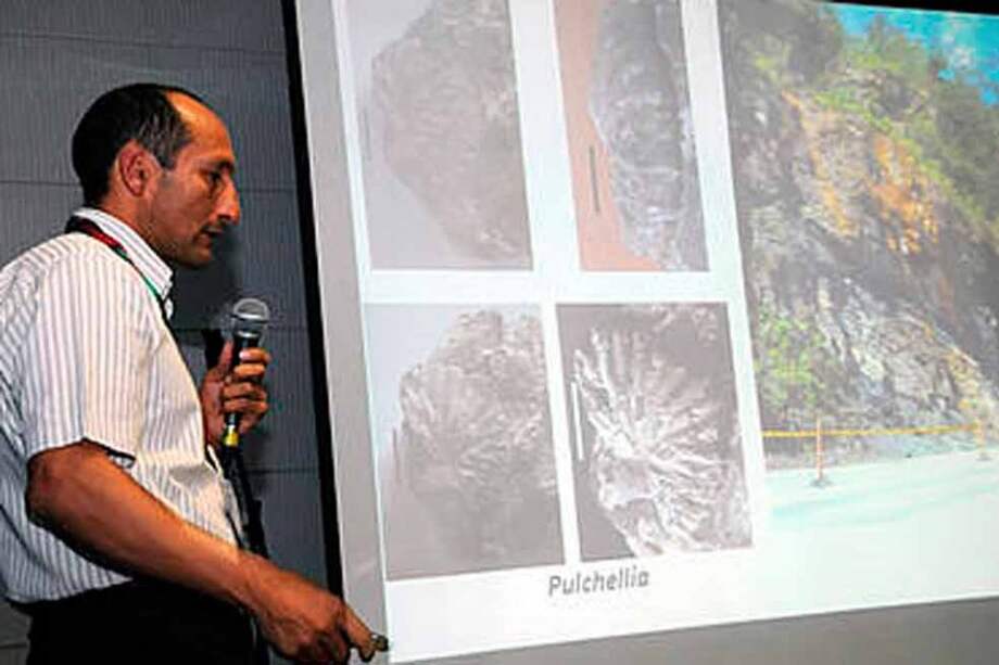 Hallan en Cundinamarca fósiles marinos