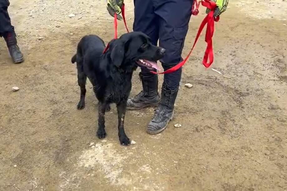 Teo se convirtió en un milagro en medio de la tragedia en Chocó.