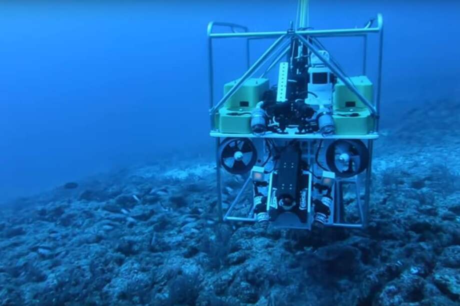 Es un vehículo submarino operado remotamente (ROV) que utiliza un arma de arpón para llegar al animal. / Atlantic Lionshare Ltda.