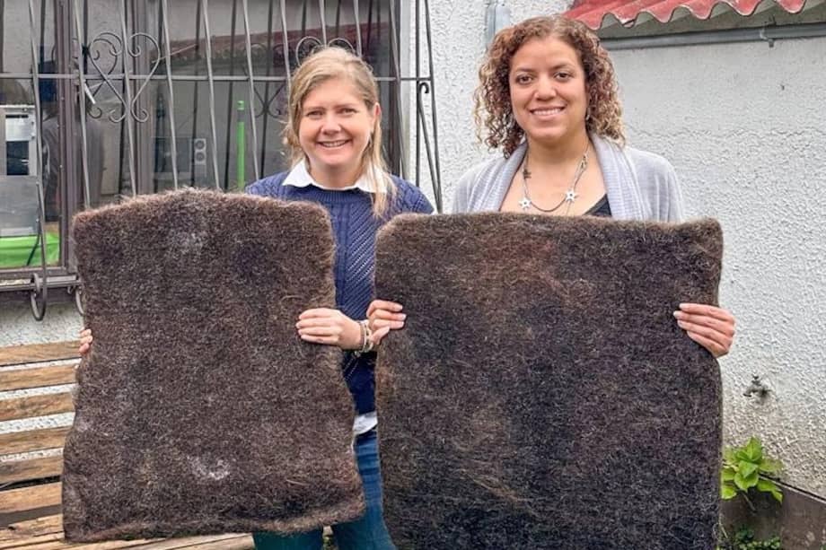 Jimena Villegas y Diana Martínez son las fundadoras de MOT (Matter of trust), el proyecto que se llevó el primer puesto.
Son tapetes de fibra natural hechos 100% con cabello que recogen de peluquerías y que les donan los dueños de mascotas. No contienen químicos ni aglometantes. Realizan un proceso de limpieza y clasificación para después producir el tapete usando una máquina que lo fabrica por medio de entrepunzado.