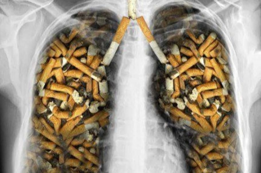 ¿Existe una forma de limpiar los pulmones? Sí, así es, aquí te explicamos como puedes hacerlo y las rutinas que debes controlar para lograrlo.
