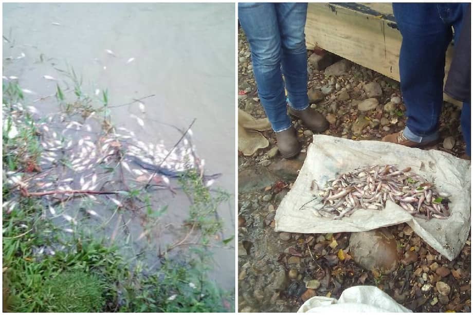 Twitter Movimiento Ríos Vivos