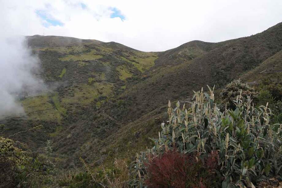 Panorámica del Páramo de Santurbán. / El Espectador