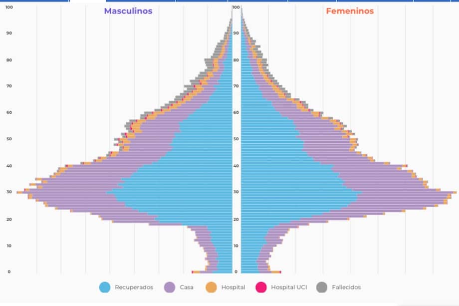 Pirámide publicada por el INS.