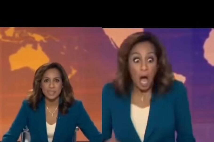 Rata entró en emisión de noticiero y causó pánico ¿qué hizo la presentadora? Video