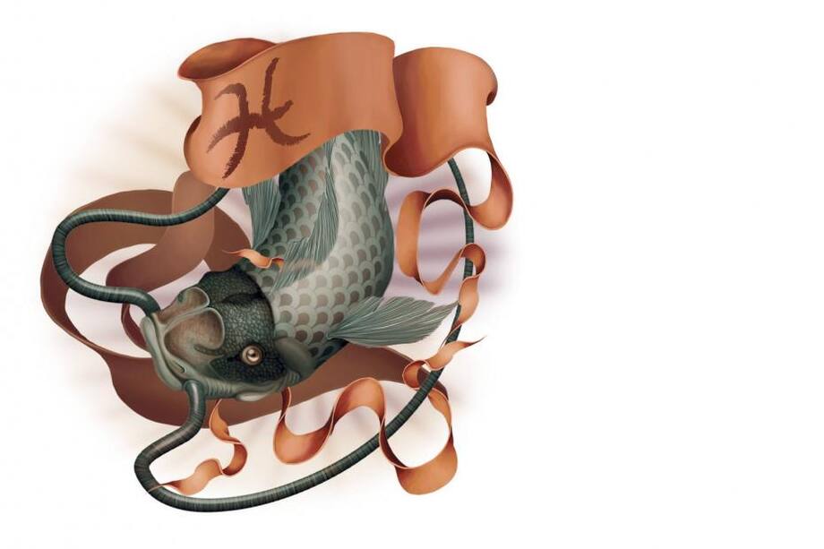 ¿Quieres saber si le gustas a piscis?