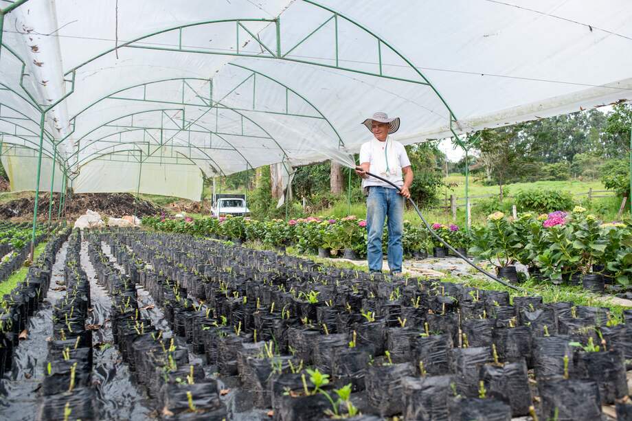 El objetivo es "atender las necesidades de crédito que tienen los pequeños emprendedores",