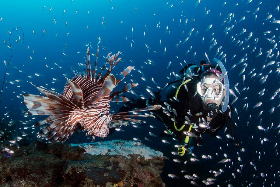 En Santa Marta expertos y principiantes pueden hacer buceo.