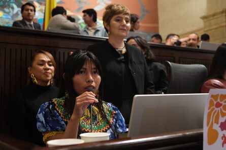 Lo que busca el proyecto de ley para erradicar la mutilación genital femenina