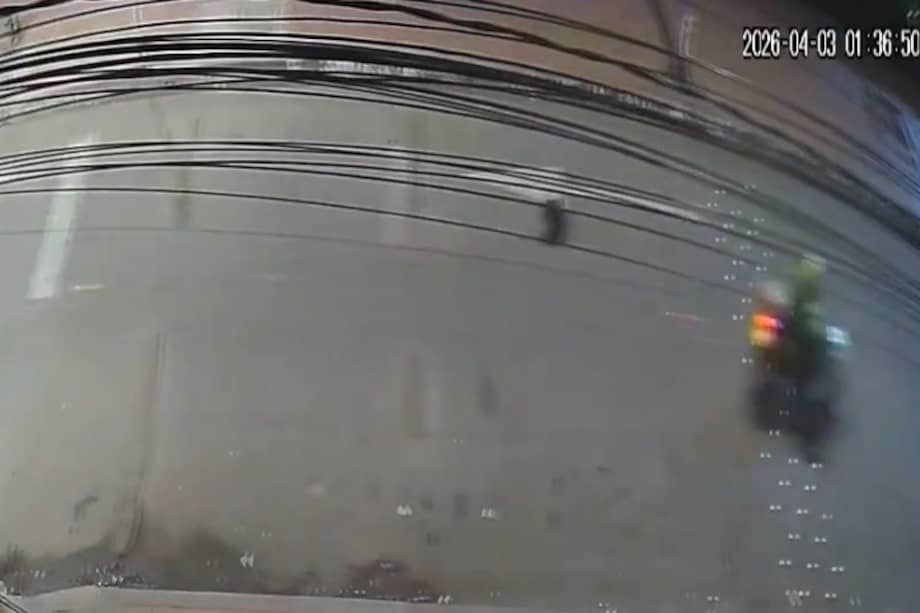 Por su parte, la familia de recicladores a la que pertenecería el animal pidió justicia y sanciones contra el uniformado, quien quedó registrado en cámaras de seguridad.