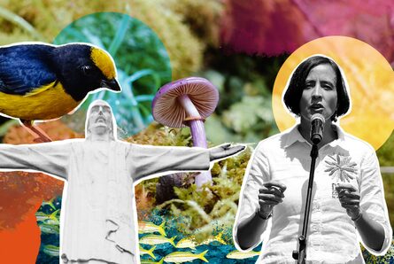 El Espectador le explica por qué la COP16 es tan importante (y lo que se viene)