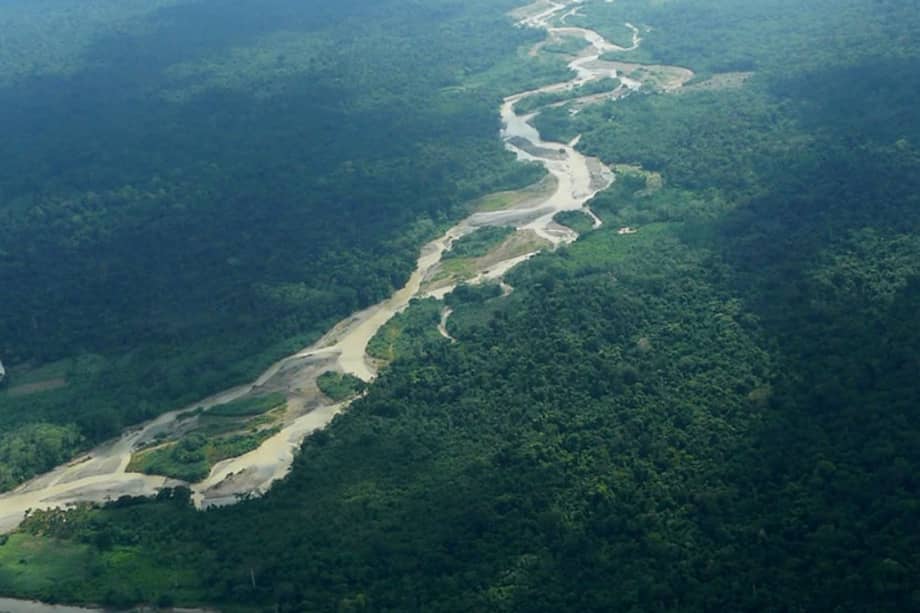 En el nudo de Paramillo, la deforestación para cultivar hoja de coca tiene las alarmas encendidas. / Cortesía