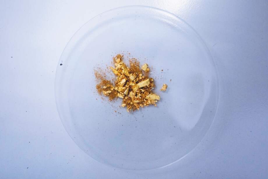 Imagen de referencia.