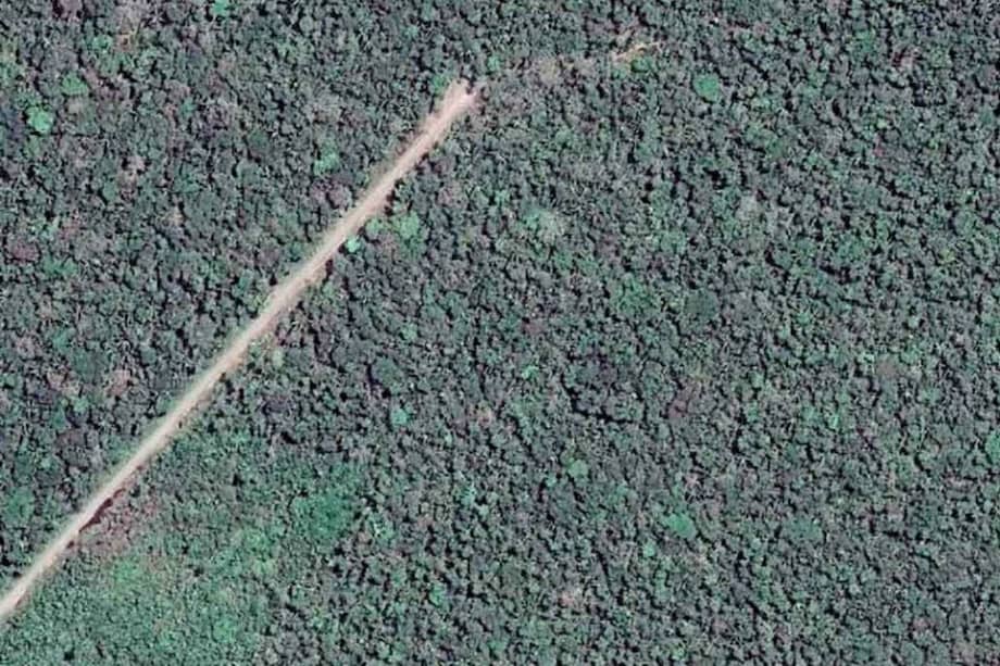 Imágenes satelitales tomadas en agosto revelan el avance de la carretera desde la comunidad de Shipetiari hasta Boca Manu / Conservación Amazónica y Amazon Conservation Association.