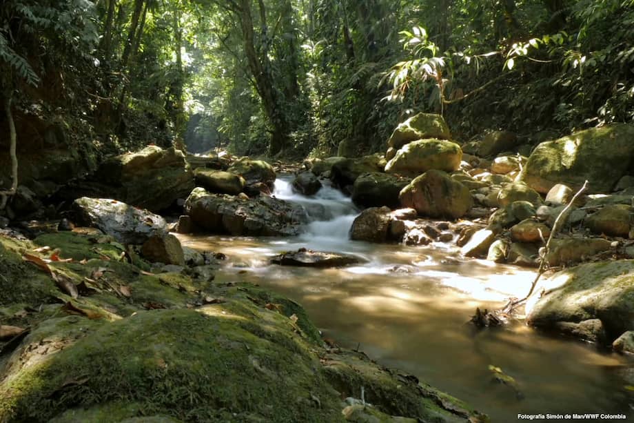 Aproximadamente el 30% de los ecosistemas naturales de agua dulce han desaparecido desde 1970.