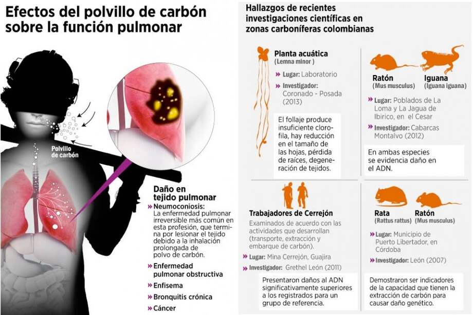Colombia no ha contado sus enfermos por carbón