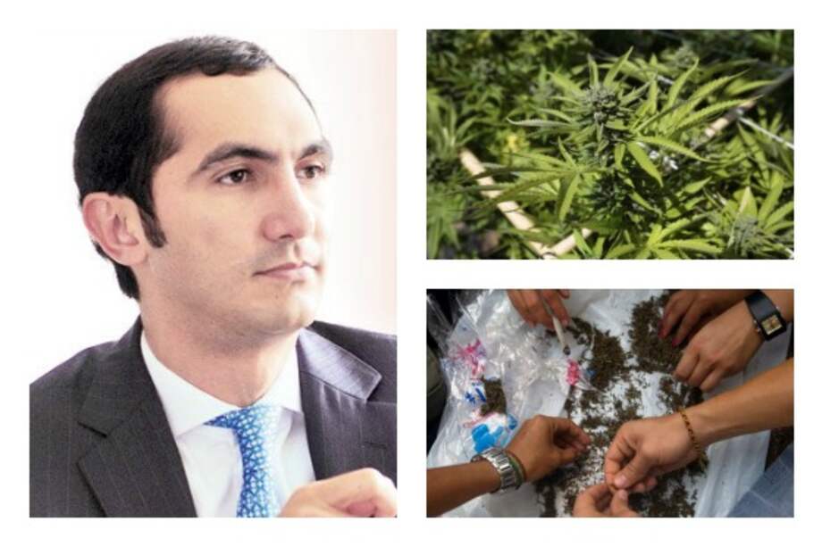 Partido Conservador apoyaría legalización de marihuana con fines medicinales